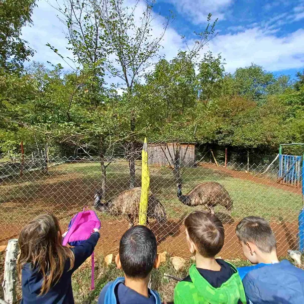 Posjet 2. razreda – Papago park Croatia