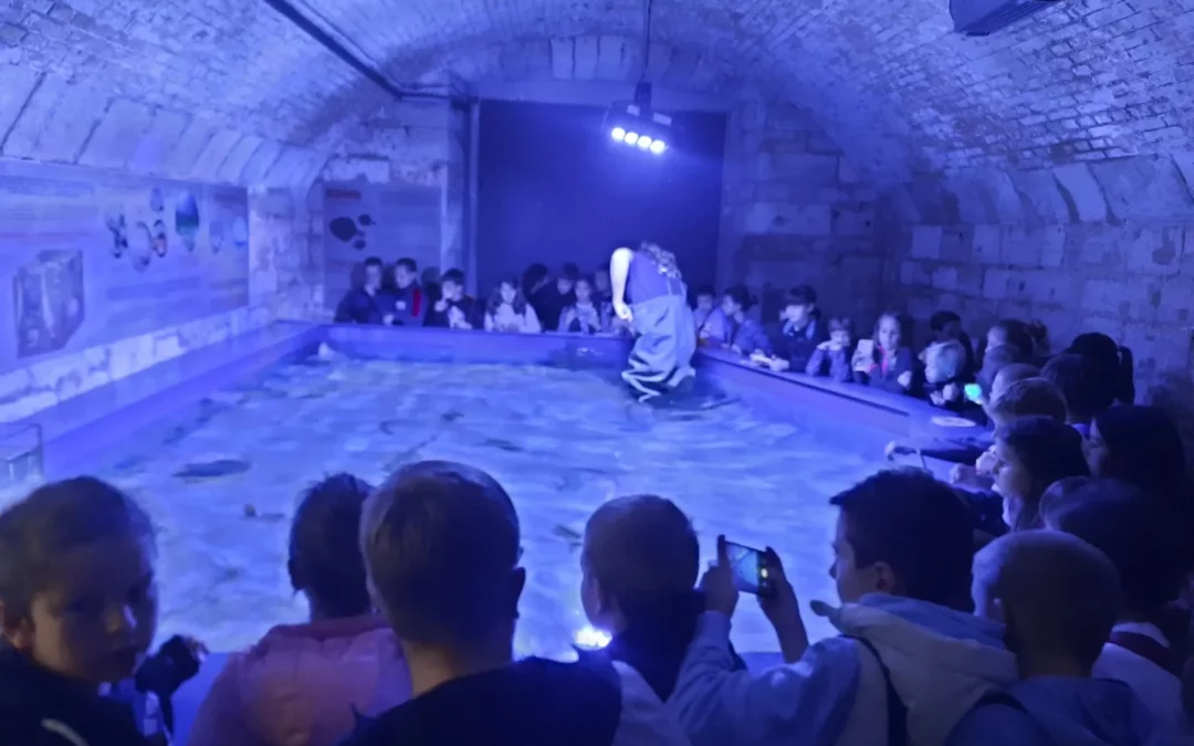 Posjet Aquariumu Pula