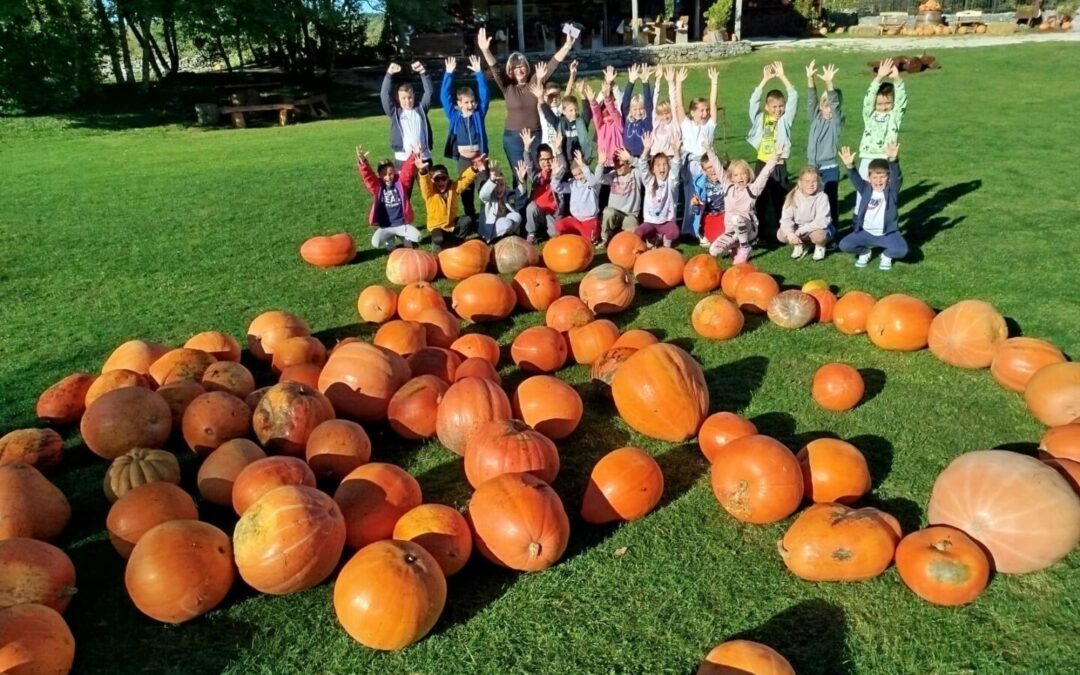 Drugi razredi u Feštinskom kraljevstvu